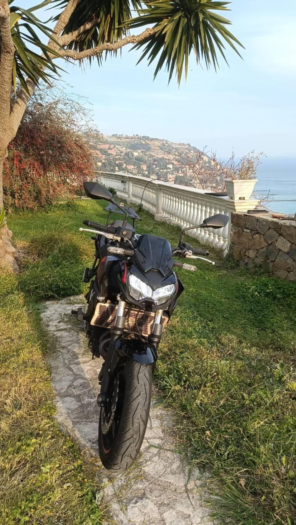 Kawasaki Z 650 (2021 - 24) (7)