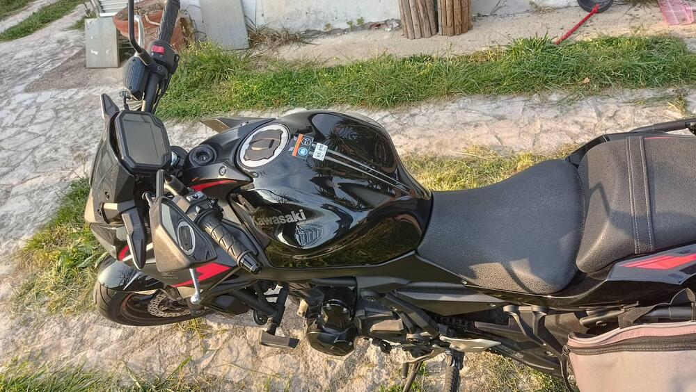 Kawasaki Z 650 (2021 - 24) (8)