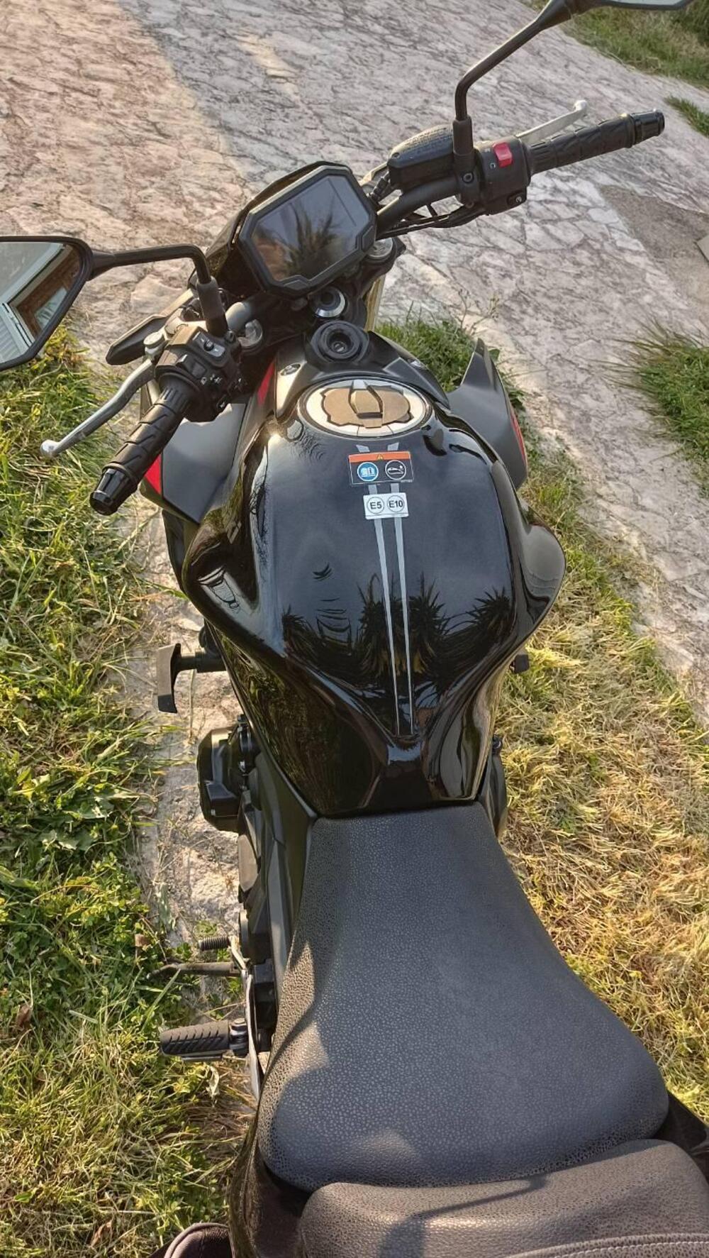 Kawasaki Z 650 (2021 - 24) (10)