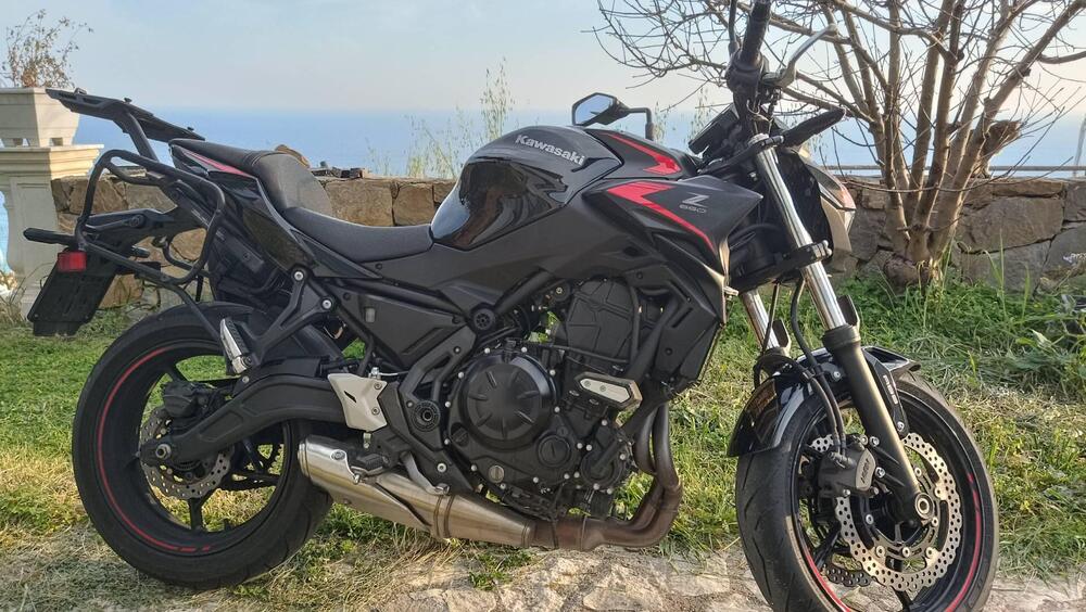 Kawasaki Z 650 (2021 - 24) (11)