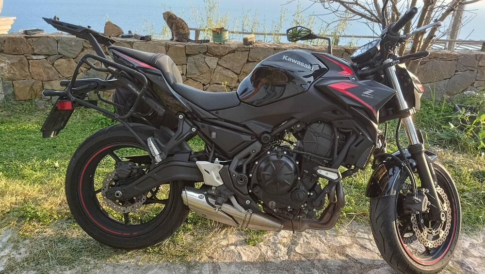 Kawasaki Z 650 (2021 - 24) (13)