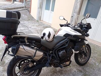 Triumph Tiger 800 ABS (2010 - 14) usata