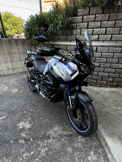Yamaha XT1200Z Super T&eacute;n&eacute;r&eacute; ABS (2015 - 16) usata