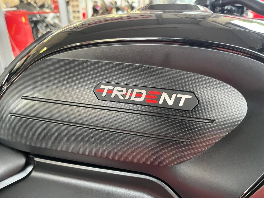 Triumph Trident 660 (2021 - 24) (6)