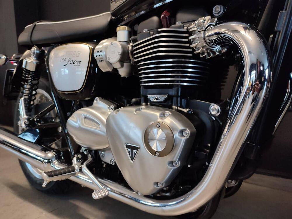 Triumph Bonneville T120 Icon Edition (2025 - 26) (4)