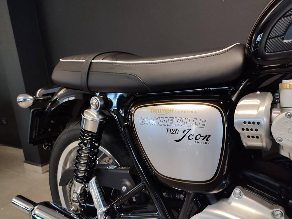Triumph Bonneville T120 Icon Edition (2025 - 26) (6)