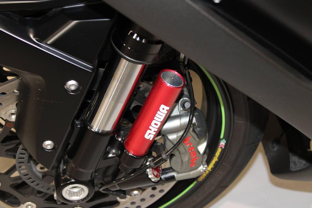 Kawasaki Ninja 1000 ZX-10RR (2017 - 18) (9)