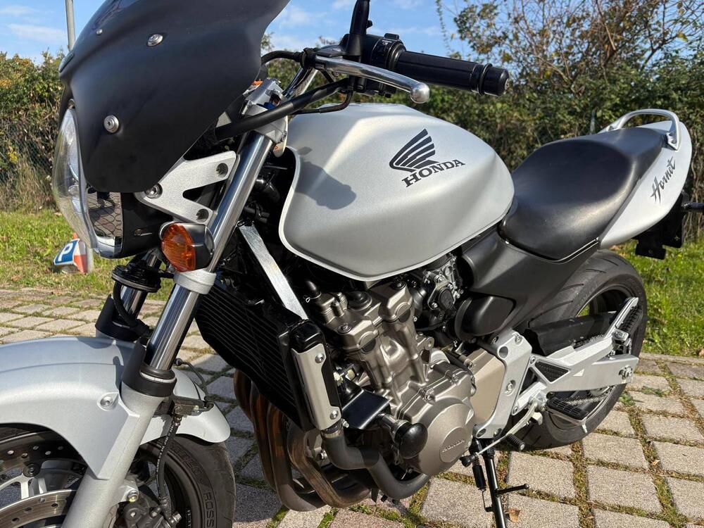 Honda Hornet 600 (2005 - 06) (9)