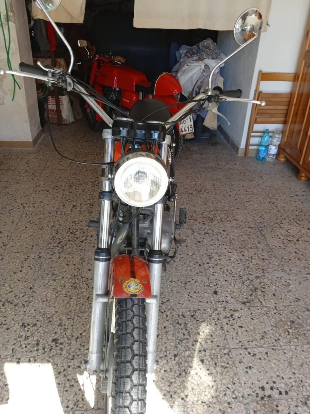 Ducati Scrambler  (2)