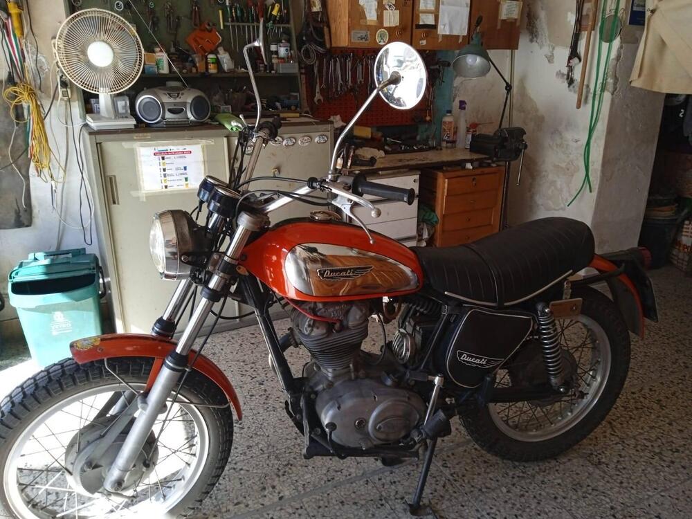 Ducati Scrambler  (7)