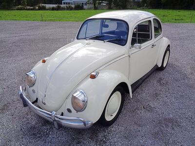 Volkswagen Beetle d&#039;epoca del 1965 a Pescara