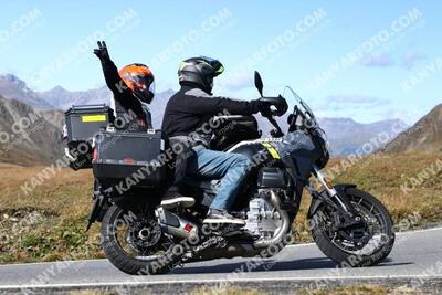 Moto Guzzi Stelvio (2024 - 25) usata
