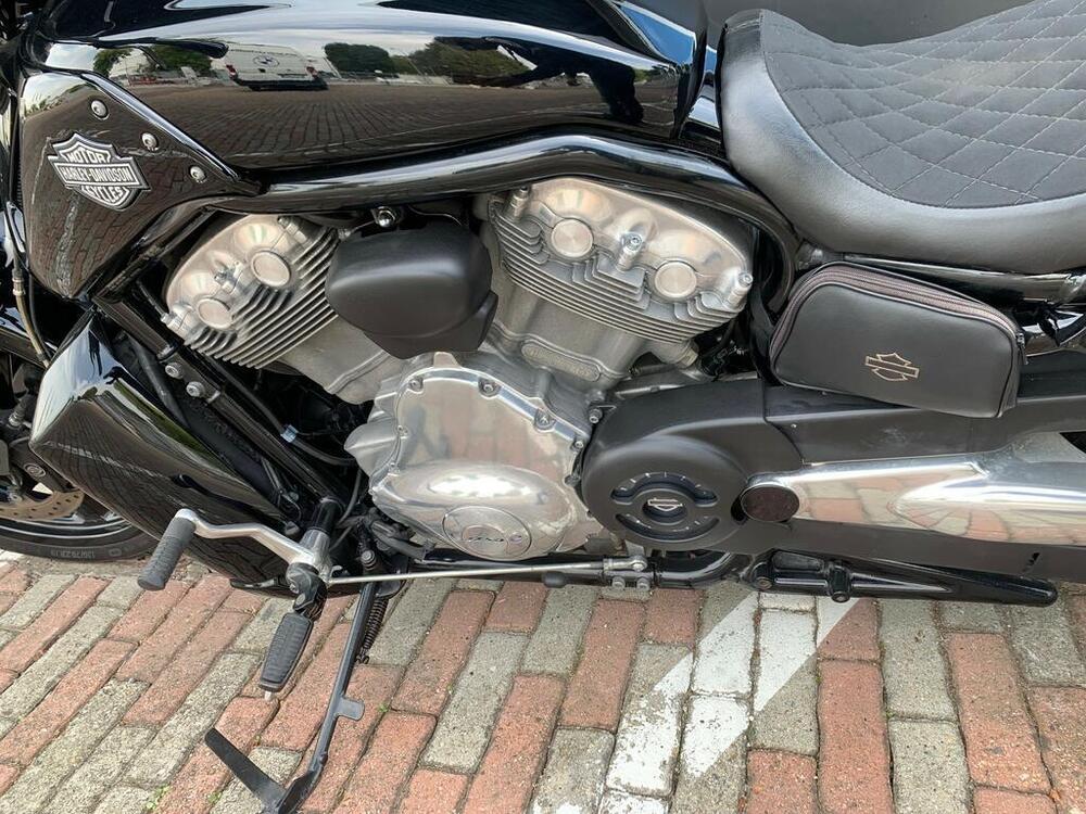 Harley-Davidson 1250 V-Rod Muscle (2009 - 17) - VRSCF (7)
