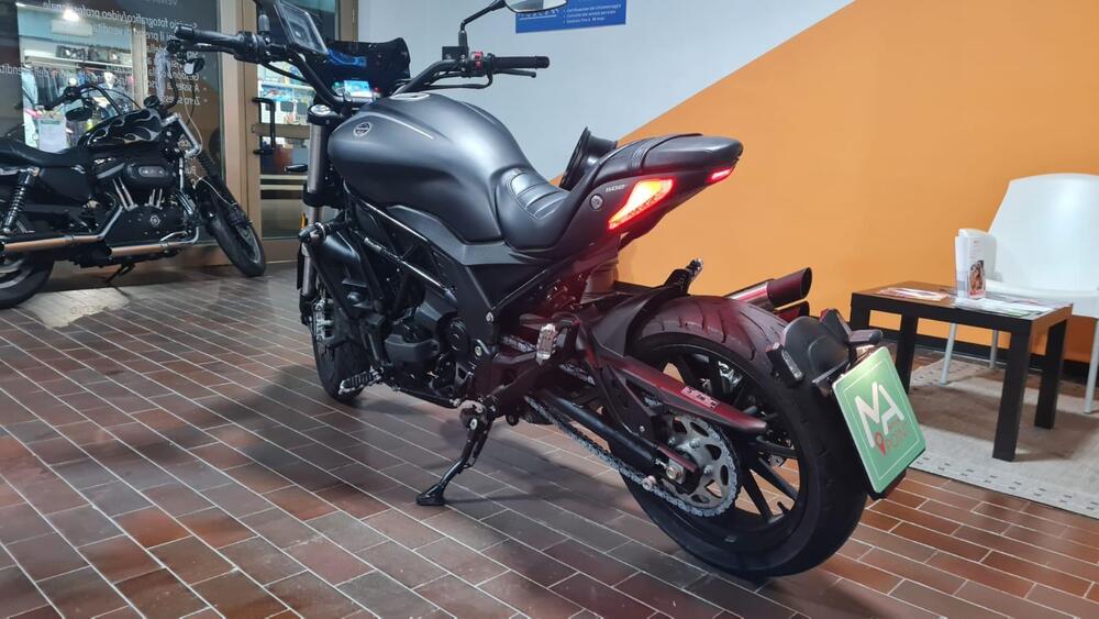Benelli 502 C (2019 - 20) (6)