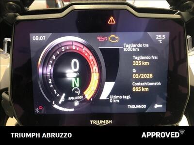 Triumph Tiger 1200 GT Pro (2024 - 25) usata