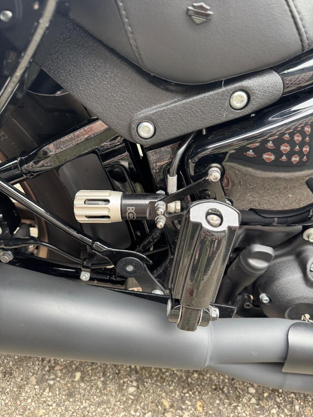 Harley-Davidson Low Rider ST (2022 - 24) (7)