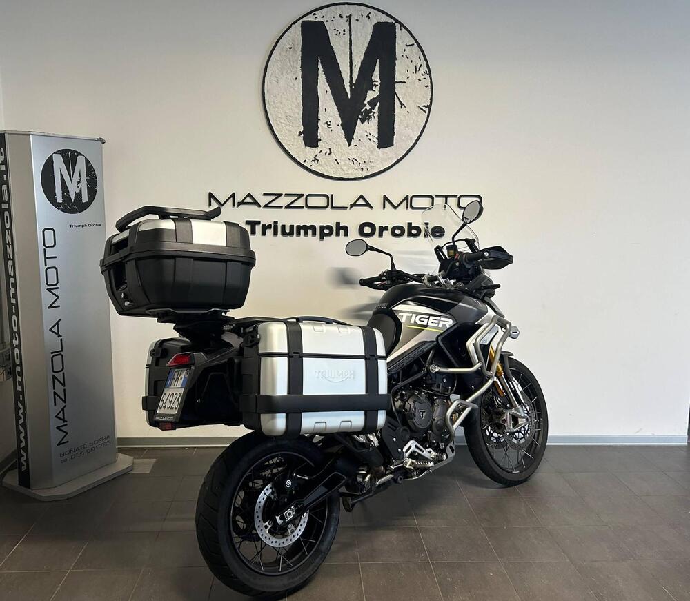 Triumph Tiger 900 Rally Aragón Edition (2023 - 24) (2)