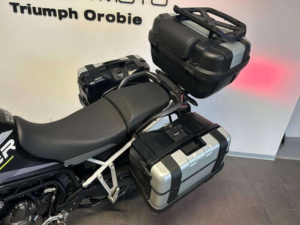 Triumph Tiger 900 Rally Aragón Edition (2023 - 24) (6)