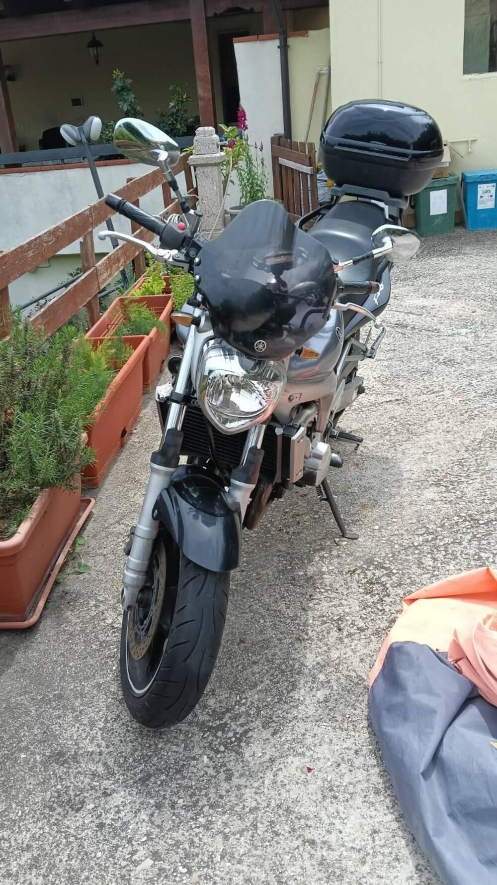 Yamaha FZ6 (2004 - 07)