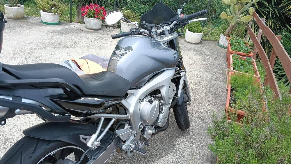 Yamaha FZ6 (2004 - 07) (2)