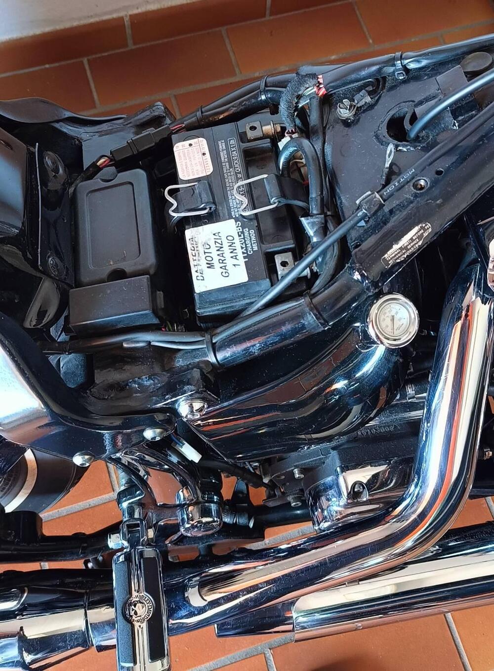 Harley-Davidson BAD BOY FLSTSB (9)