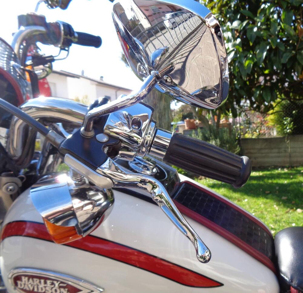 Harley-Davidson Old Boy (7)