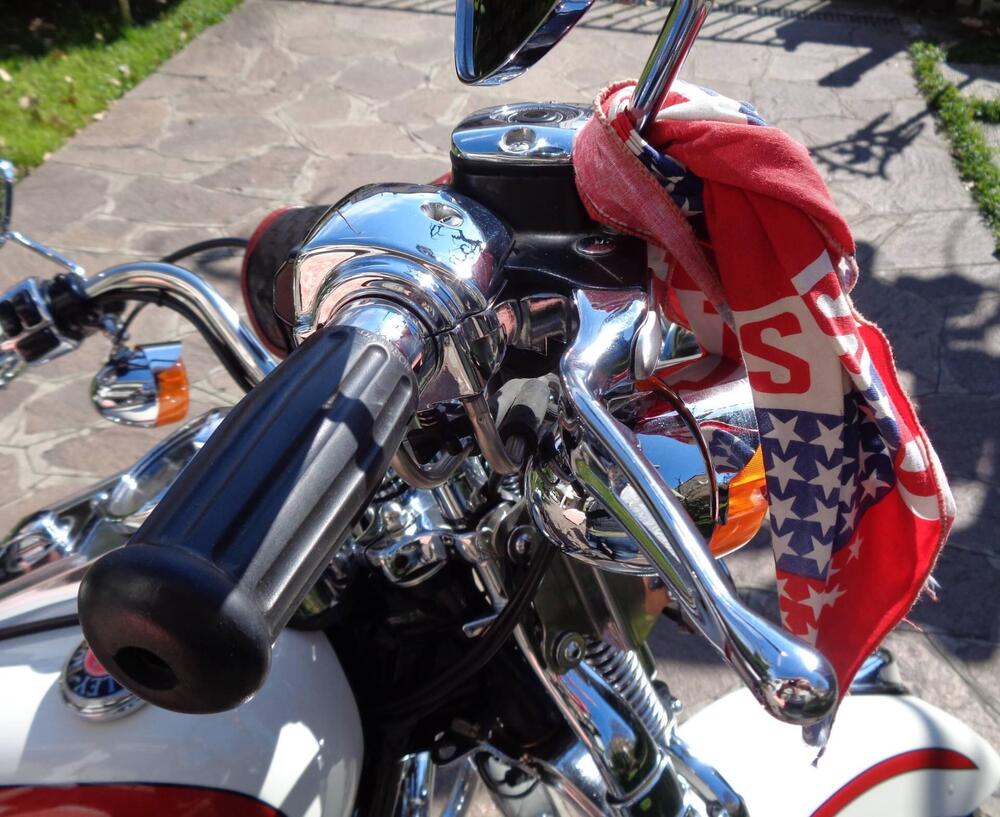 Harley-Davidson Old Boy (8)