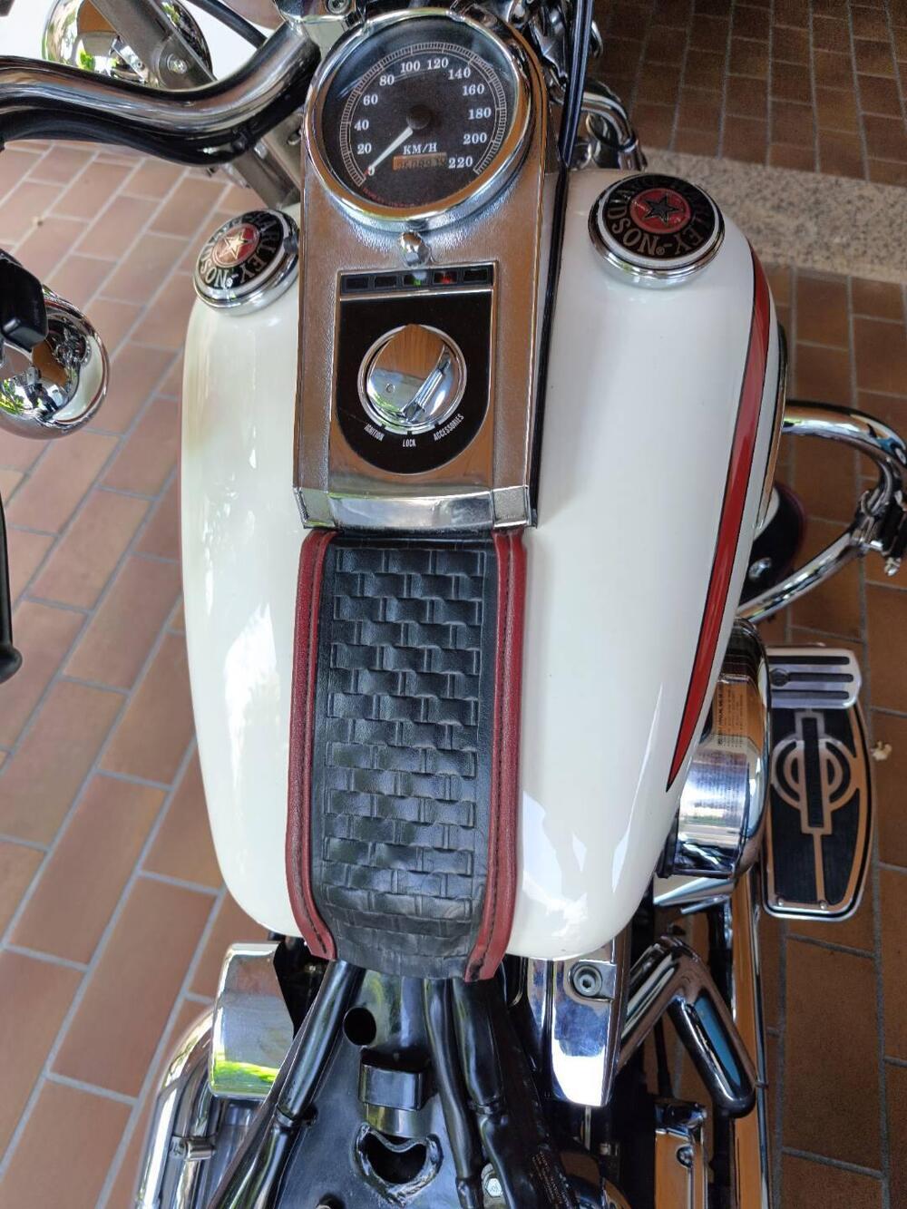 Harley-Davidson Old Boy (13)