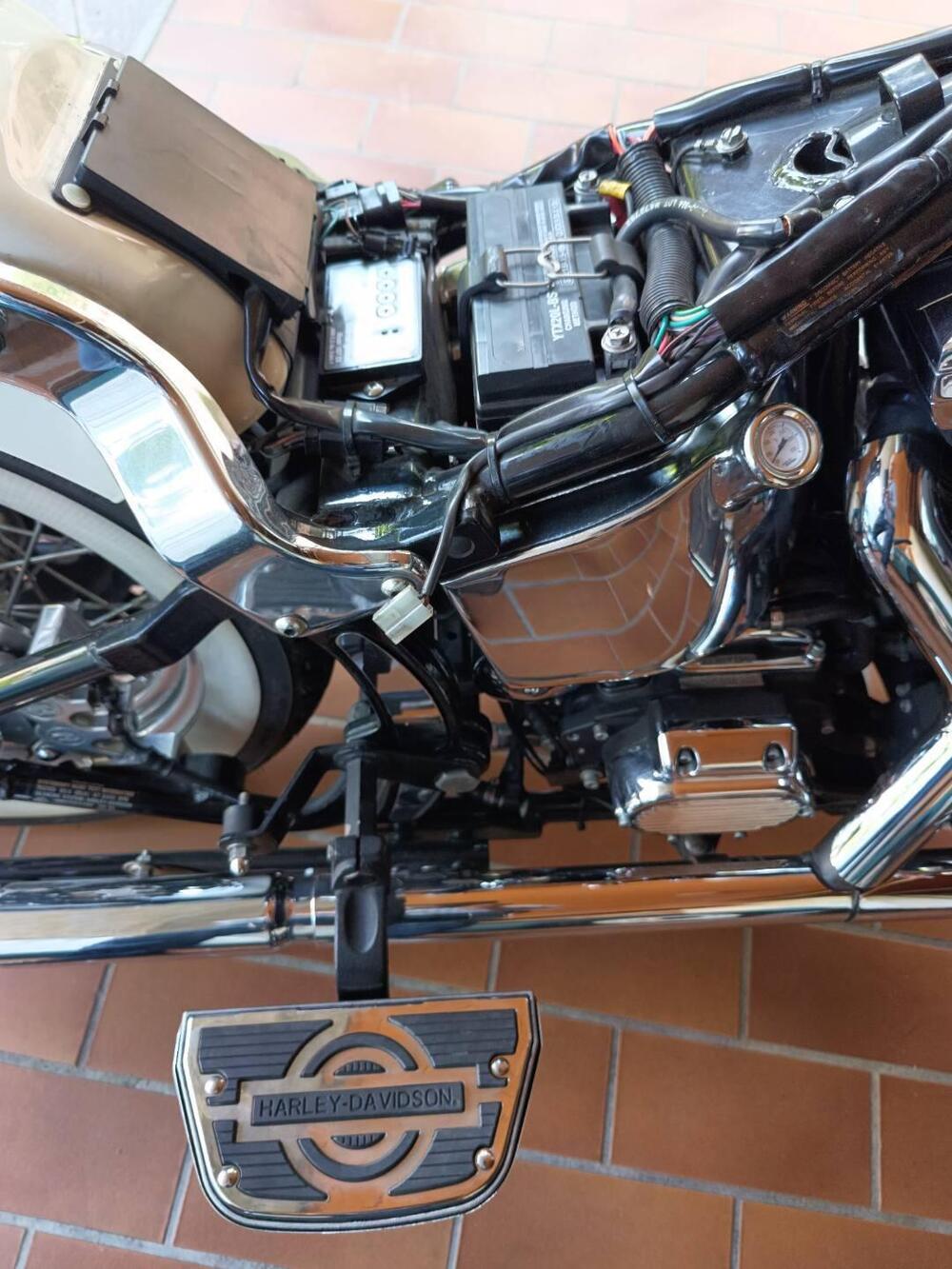 Harley-Davidson Old Boy (14)