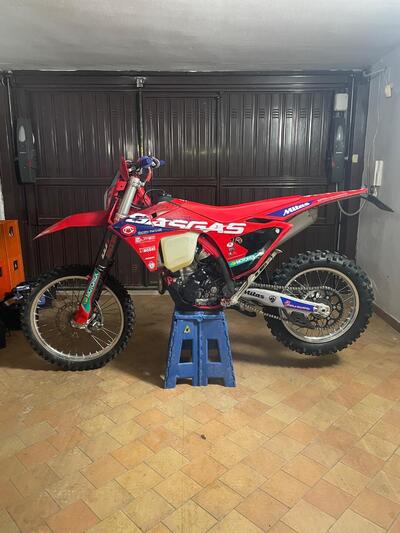 GASGAS EC 250 F (2025) usata