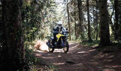 Suzuki V-Strom 800DE (2025) nuova