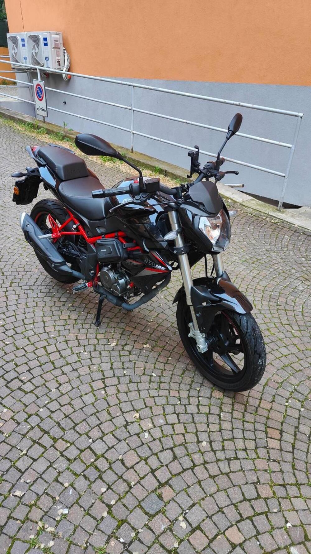 Benelli BN 125 (2021 - 25) (2)