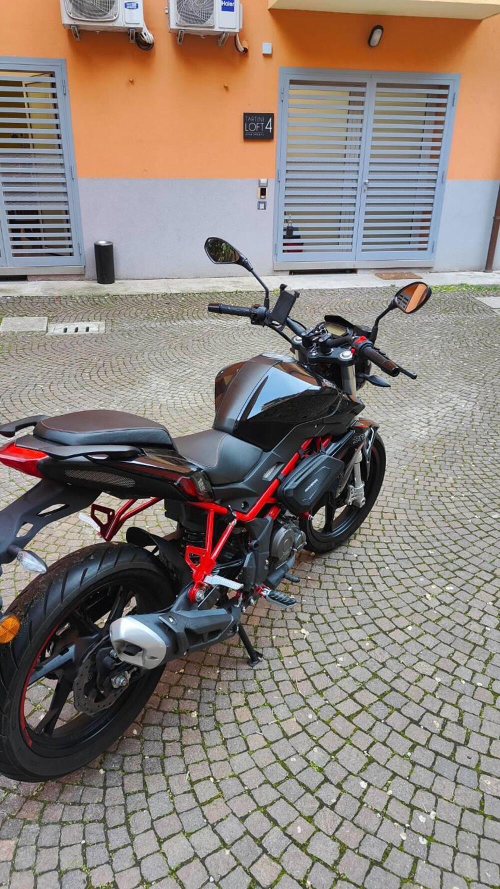 Benelli BN 125 (2021 - 25) (3)