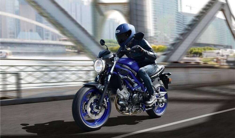Suzuki SV650 (2025 - 26)