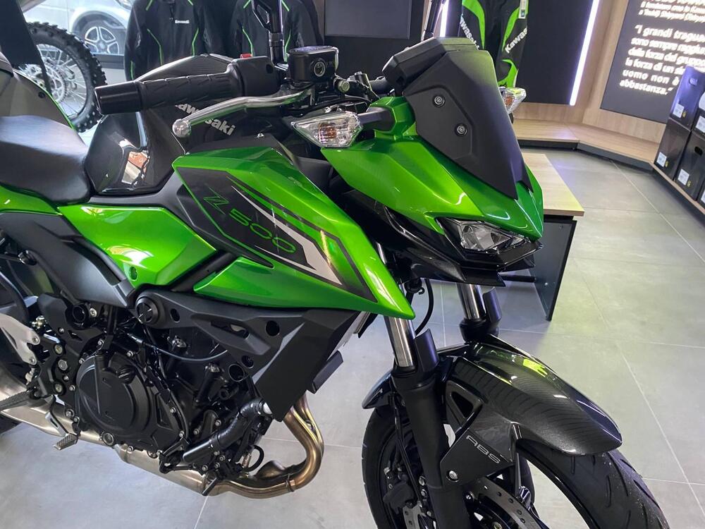 Kawasaki Z 500 (2024 - 26) (2)