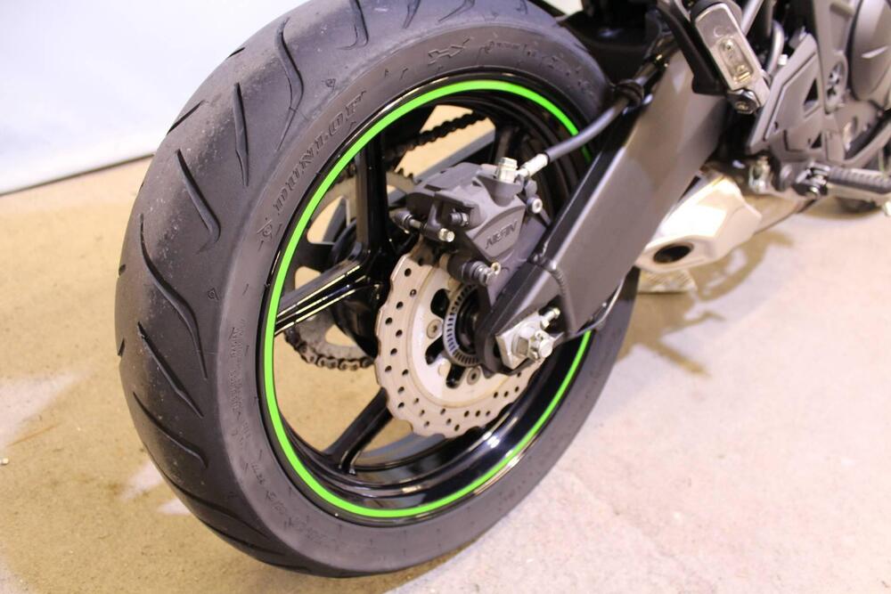 Kawasaki Versys 650 (2021 - 24) (6)