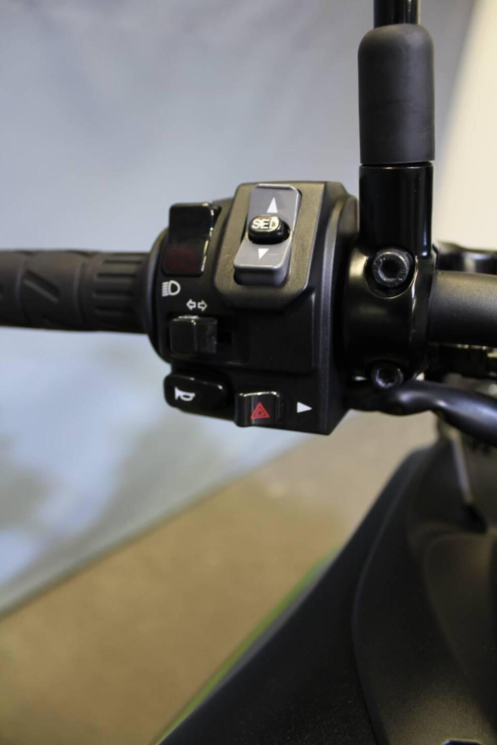 Kawasaki Versys 650 (2021 - 24) (10)