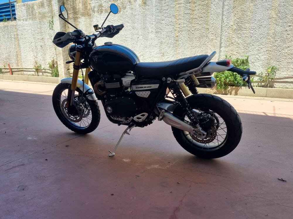 Triumph Scrambler 1200 XE (2024 - 25) (6)