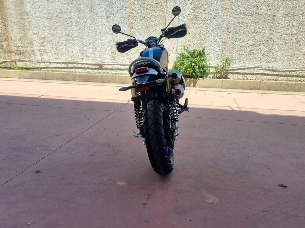 Triumph Scrambler 1200 XE (2024 - 25) (8)