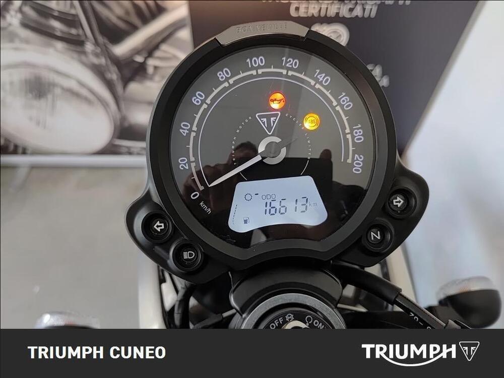 Triumph Speed Twin 900 (2023 - 24) (3)