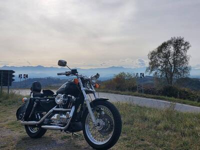 Harley-Davidson 1200 (1988 - 96) - HLX usata