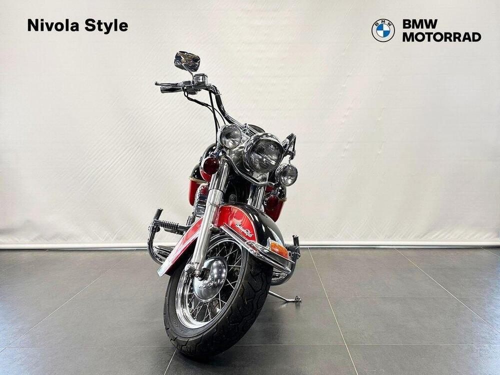 Harley-Davidson 1340 Custom (1989 - 98) (3)