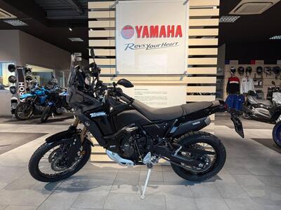 Yamaha T&eacute;n&eacute;r&eacute; 700 World Raid (2022 - 25) usata