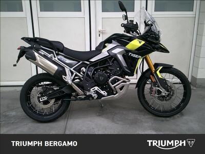 Triumph Tiger 900 Rally Pro (2024 - 25) usata