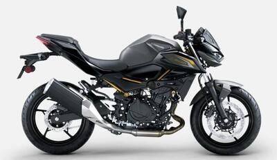 Kawasaki Z 500 (2024 - 26) nuova