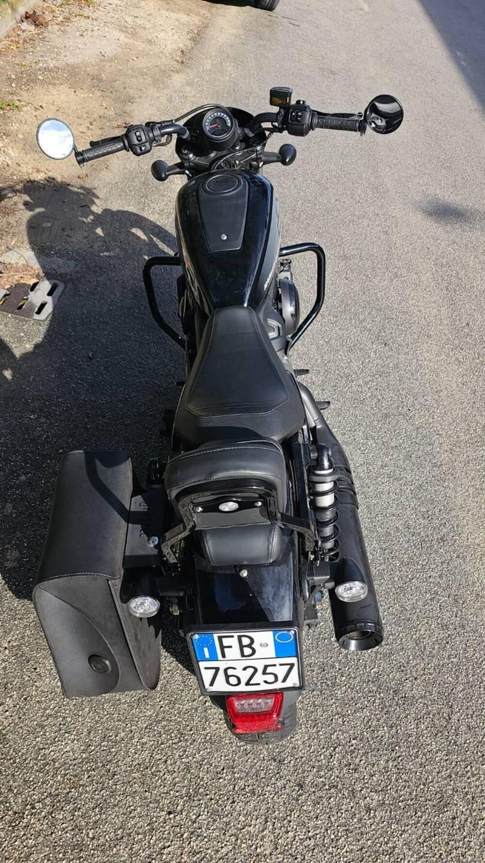 Harley-Davidson Nightster (2023 - 26) (5)