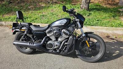 Harley-Davidson Nightster (2023 - 25) usata