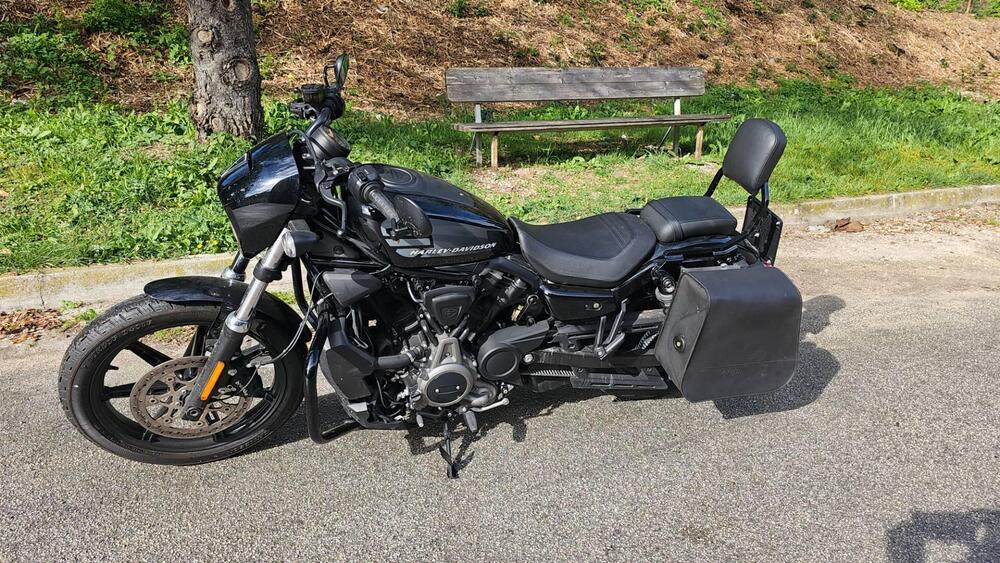 Harley-Davidson Nightster (2023 - 26) (2)