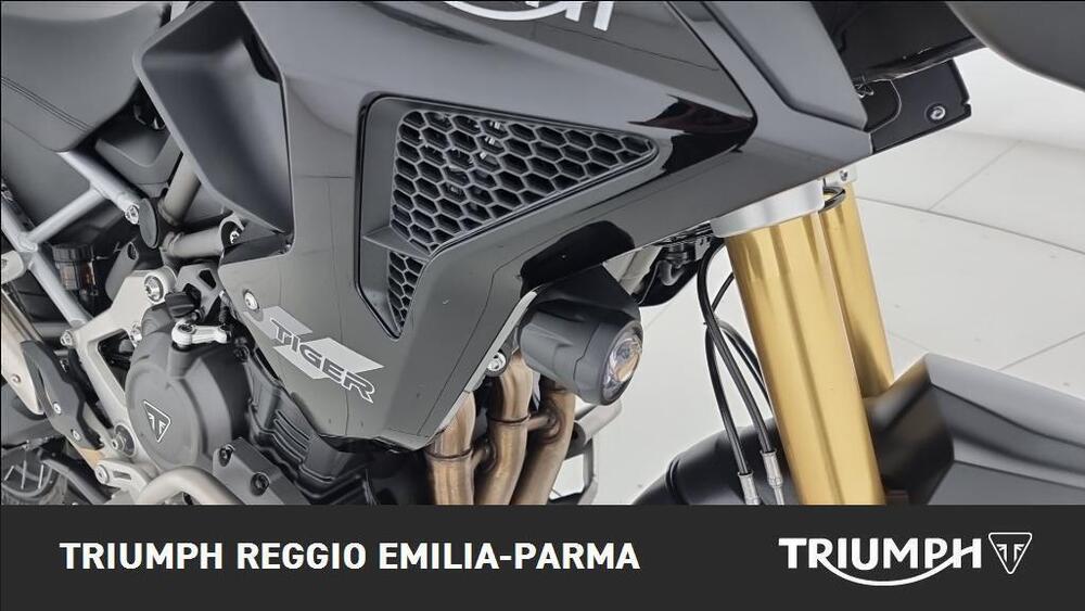 Triumph Tiger 1200 Rally Pro (2024 - 25) (21)
