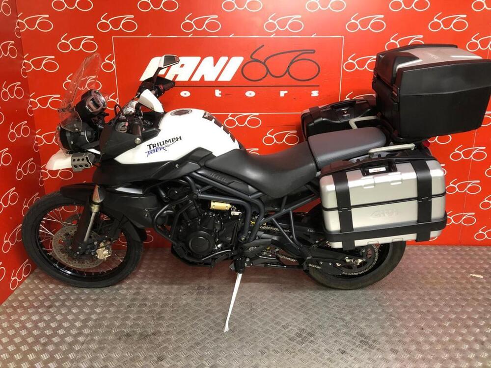 Triumph Tiger 800 XC (2011 - 12) (3)